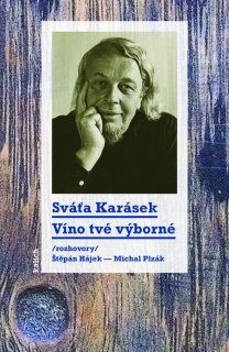 VÍNO TVÉ VÝBORNÉ /ROZHOVORY ŠTĚPÁN HÁJEK