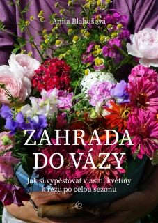 ZAHRADA DO VÁZY - JAK SI VYPĚSTOVAT VLAS