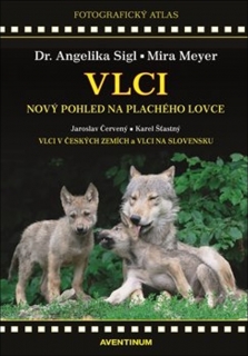 VLCI