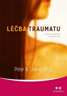 LÉČBA TRAUMATU - PROGRAM PROBUZENÍ MOUDR
