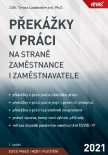 PŘEKÁŽKY V PRÁCI 2021