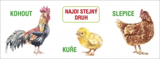 NAJDI STEJNÝ DRUH