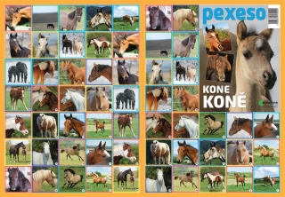 PEXESO - KONĚ