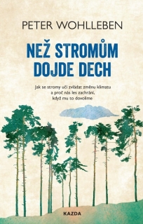 NEŽ STROMŮM DOJDE DECH - JAK SE STROMY U
