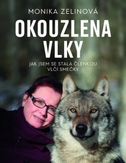 OKOUZLENA VLKY