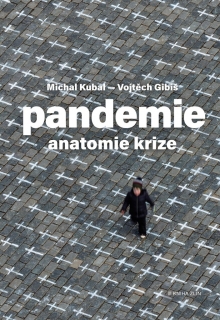 PANDEMIE: ANATOMIE KRIZE