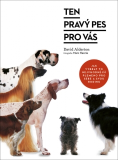 TEN PRAVÝ PES PRO VÁS