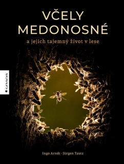 VČELY MEDONOSNÉ