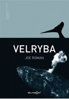 VELRYBA