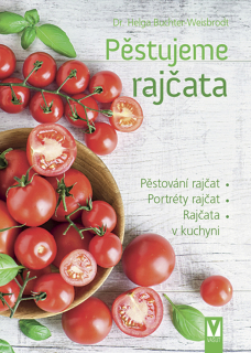 PĚSTUJEME RAJČATA