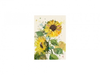 PŘÁNÍ B038 SUNFLOWERS
