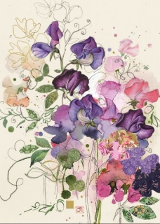 PŘÁNÍ B043  SWEET PEAS