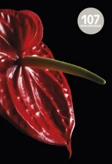 REVOLVER REVUE 107