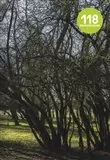 REVOLVER REVUE 118