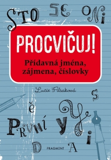 PROCVIČUJ - PŘÍDAVNÁ JMÉNA, ZÁJMENA, ČÍSLOVKY