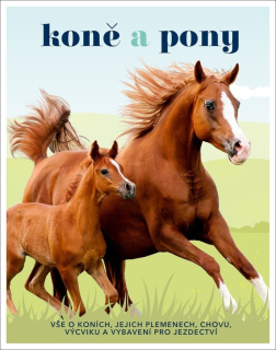 KONĚ A PONY - VŠE O KONÍCH, JEJICH PLEME