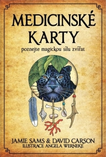 MEDICINSKÉ KARTY - KNIHA + 52 KARET/3.VY