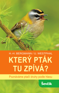 KTERÝ PTÁK TU ZPÍVÁ? - POZNÁVÁME PTAČÍ D