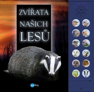 ZVÍŘATA NAŠICH LESŮ