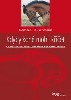 KDYBY KONĚ MOHLI KŘIČET - CO MUSÍ JEZDCI