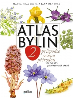 ATLAS BYLIN 2