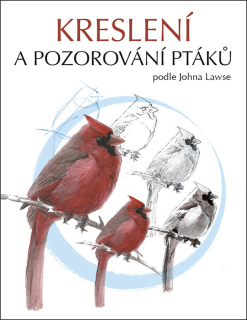 KRESLENÍ A POZOROVÁNÍ PTÁKŮ