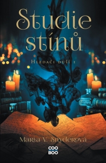 STUDIE STÍNŮ 1 HLEDAČI DUŠÍ