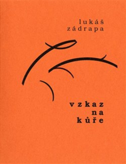 VZKAZ NA KŮŘE