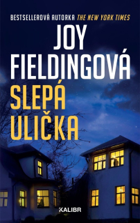 SLEPÁ ULIČKA