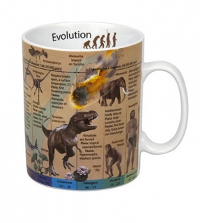 HRNEK - EVOLUCE/EVOLUTION