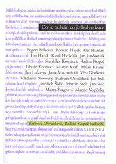 CO JE BULVÁR, CO JE BULVARIZACE