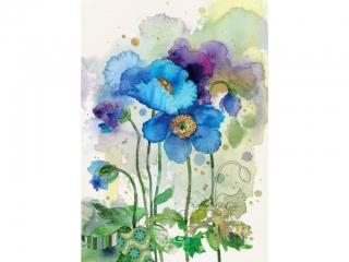 PŘÁNÍ B052 BLUE POPPIES