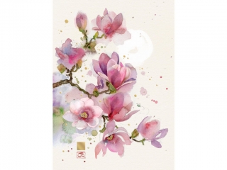 PŘÁNÍ B053 PINK MAGNOLIA