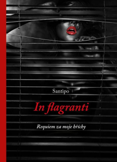 IN FLAGRANTI - REQUIEM ZA MOJE HŘÍCHY