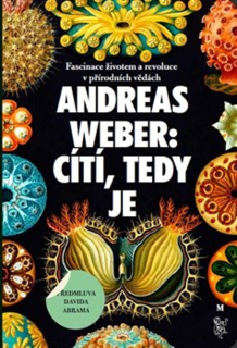 CÍTÍ, TEDY JE