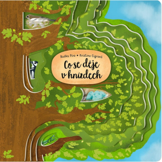 CO SE DĚJE V HNÍZDECH